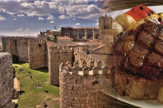 GUIDED TOUR TO AVILA AND ITS RIBEYE: THE YELOW FLOWERS.