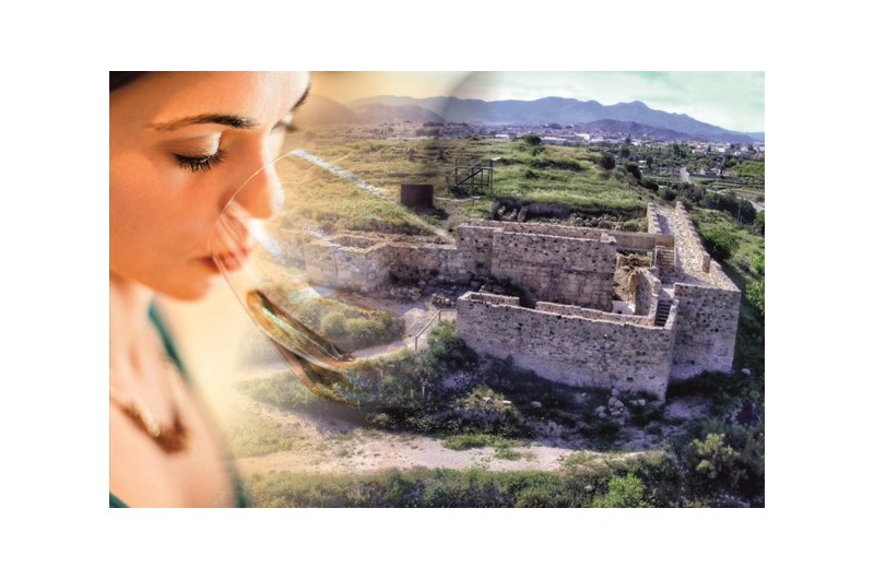 GUIDED TOUR TO BEGASTRI & VISIGOTHIC WINES WITHOUT END.