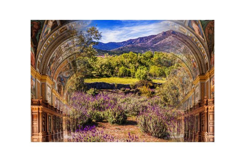 VIAJE GUIADO A PRIMAVERA DE GUADARRAMA: EL ESCORIAL Y EL VALLE DE LOS REYES